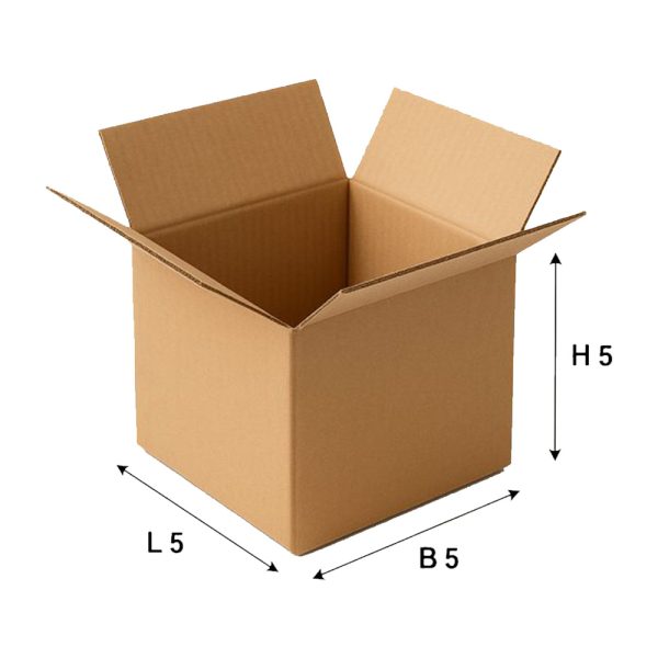 SecureShip® 3 Ply Corrugated Carton Box – Brown Kraft Packaging (5x5x5 in)