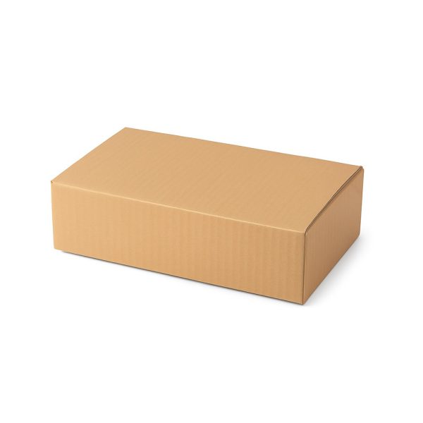 SecureShip® 3 Ply Corrugated Carton Box – Brown Kraft Packaging (8x5x2 in)